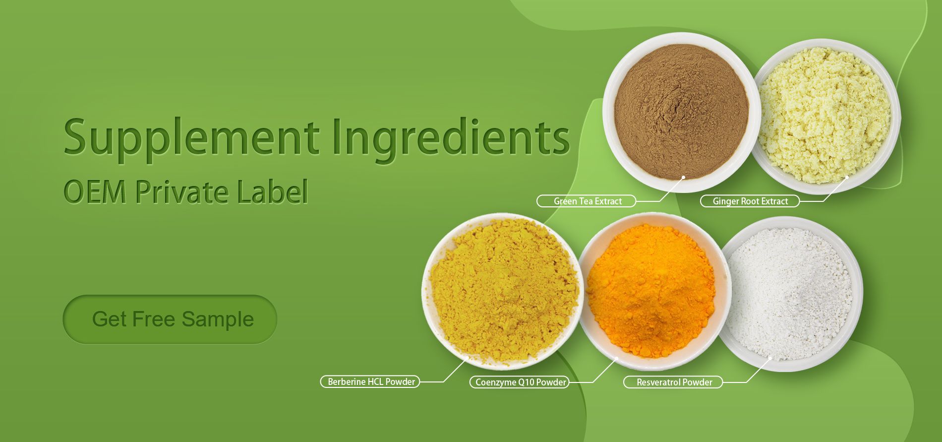 Supplements Ingredients