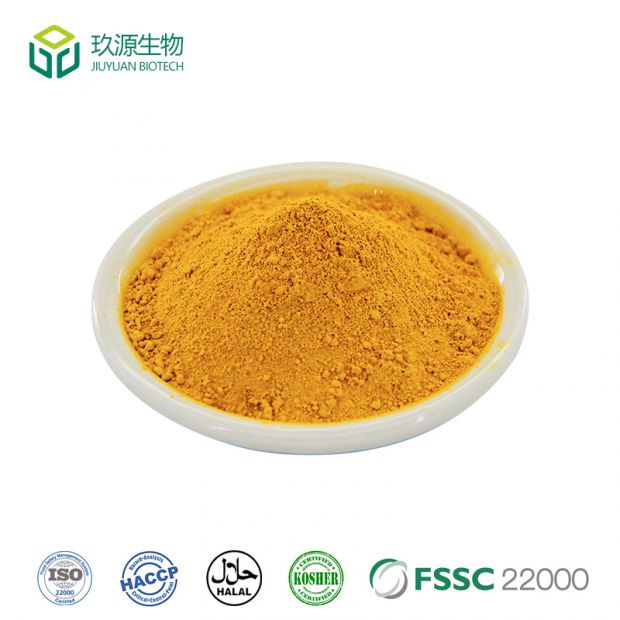 Turmeric Root Extract Curcumin Powder