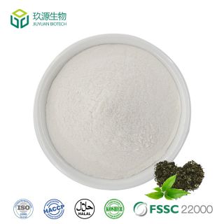 Green Tea Extract Egcg Powder