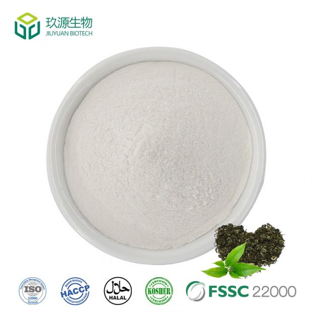Green Tea Extract Egcg Powder